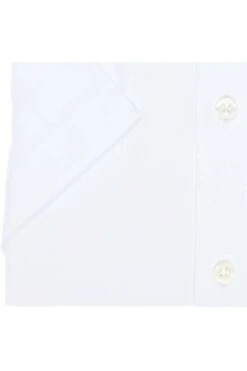 OLYMP Tendenz Regular Fit Hemd Weiss, Einfarbig -Ausgewählte Bekleidungsgeschäfte 0500 12 00 2 800gxBFP7e5Lc9oz 1200x1200