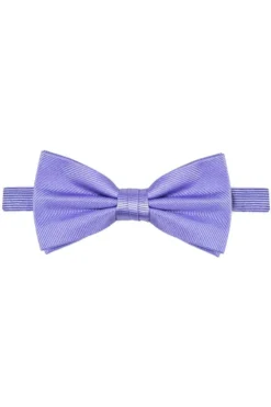 Michaelis Fliege Aus Seidelila, Gestreift